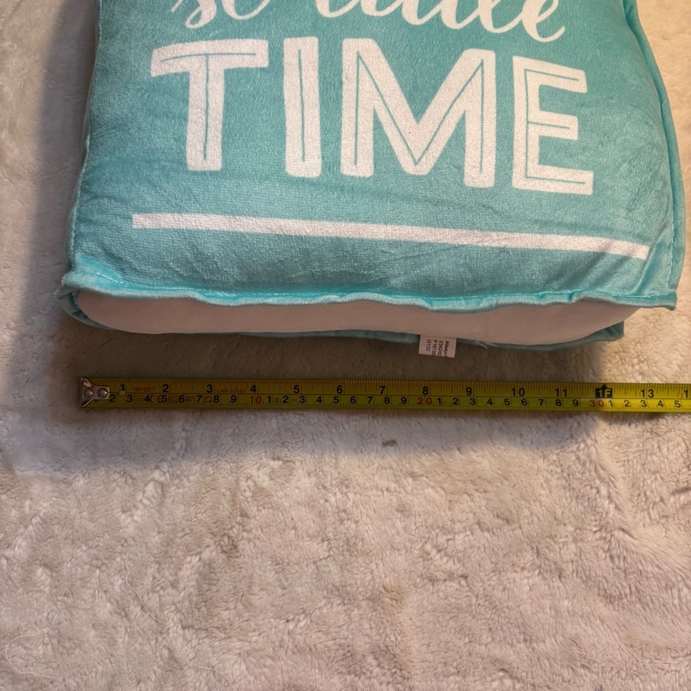 Throw Pillow Cozy Light Blue White Text So Many Books Reading Accent Pillow - Picture 7 of 9